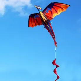 3D Dragon 100M Kite