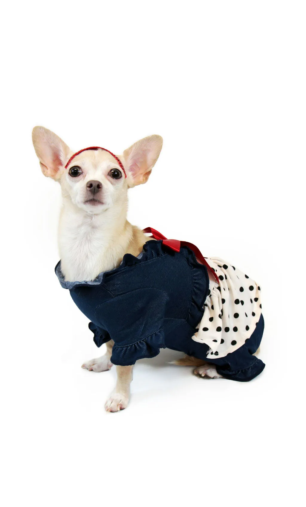 8660 Polka Dots Dress Up Collection