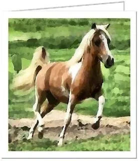 Miniature Horse - Uno - Set of Six  Notecards  -  - - 5 x 5 Inches