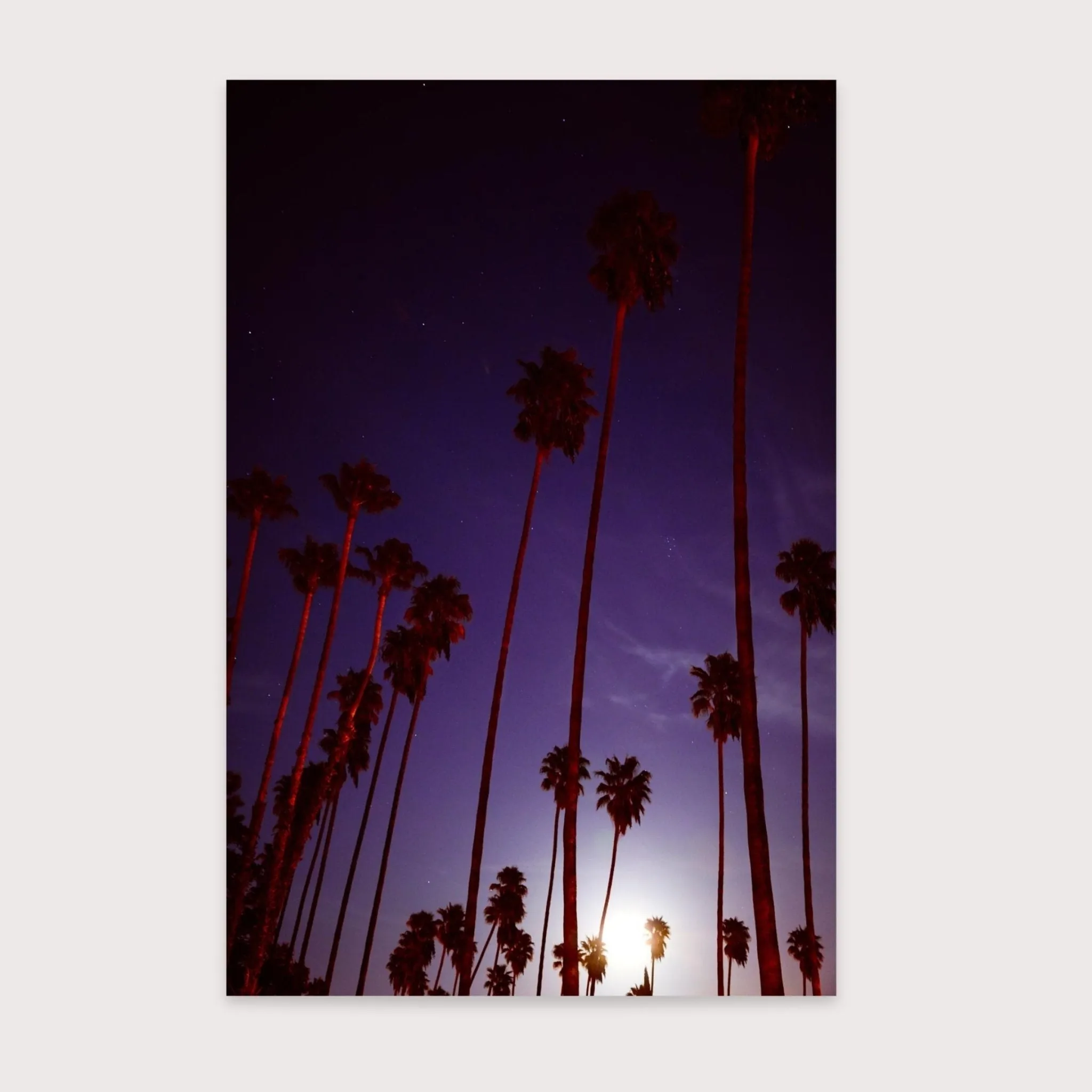 Supermoon & Palmtree - Amanda Friedman